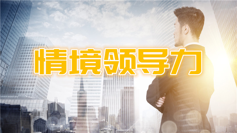《领导艺术--情景领导培训》